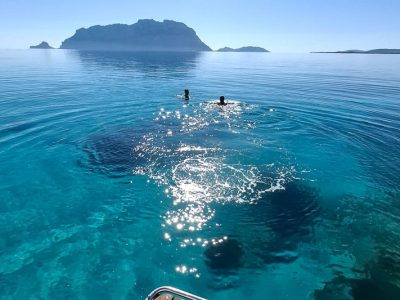 Snorkeling Capo Ceraso con vista su Tavolara