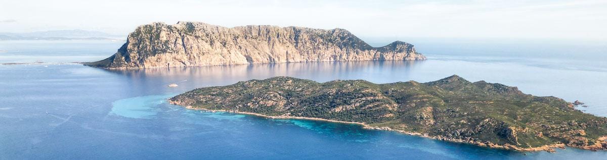 Gita di mezza giornata a Tavolara e Molara